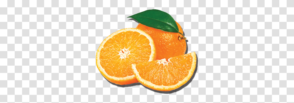 Smart Fruit Range Go Fruit Snack Healthy Dried Fruit Oranges, Citrus Fruit, Plant, Food, Grapefruit Transparent Png
