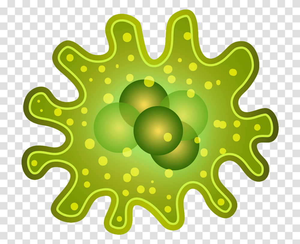 Smart Infectious Diseases For Bacterias, Leaf, Plant, Bowl, Pattern Transparent Png