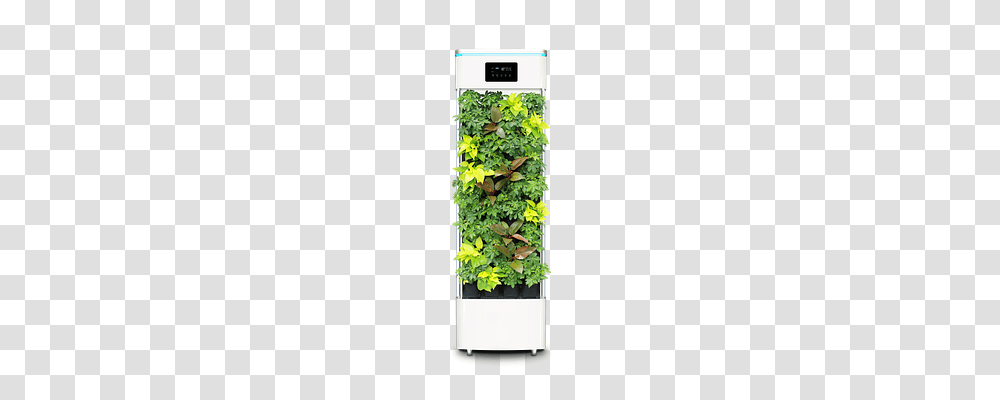 Smart Plant Purifier Nature, Potted Plant, Vase, Jar Transparent Png