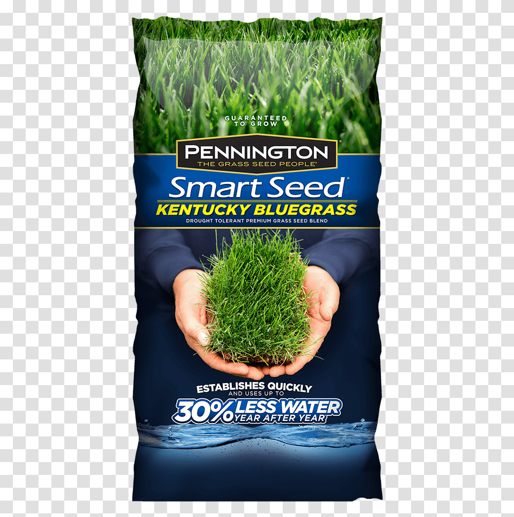 Smart Seed, Plant, Seasoning, Food, Bush Transparent Png