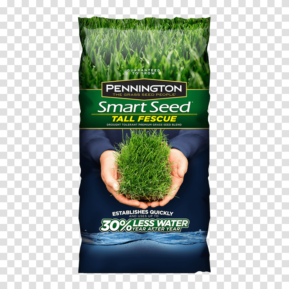 Smart Seed Tall Fescue, Plant, Food, Vegetable, Advertisement Transparent Png