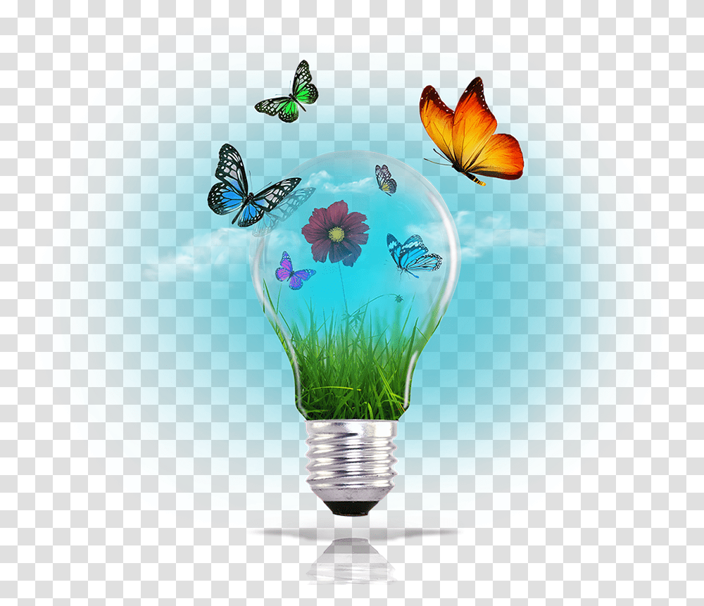 Smartclone Tool Lycaenid, Light, Lightbulb Transparent Png