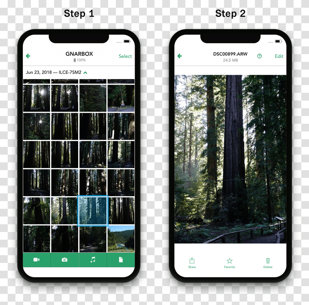 Smartphone, Mobile Phone, Electronics, Cell Phone, Iphone Transparent Png