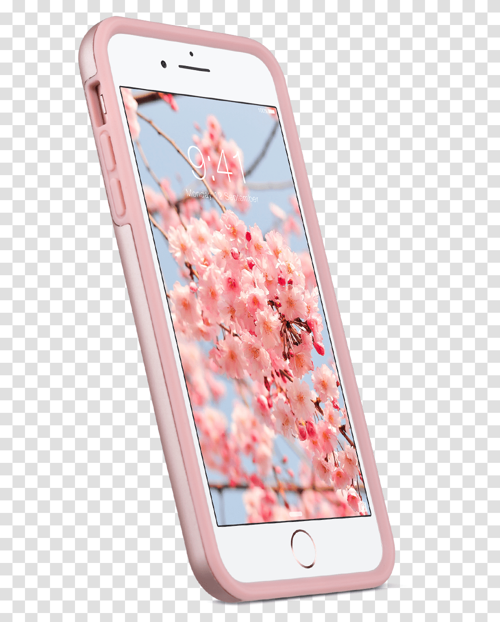 Smartphone, Mobile Phone, Electronics, Cell Phone, Person Transparent Png