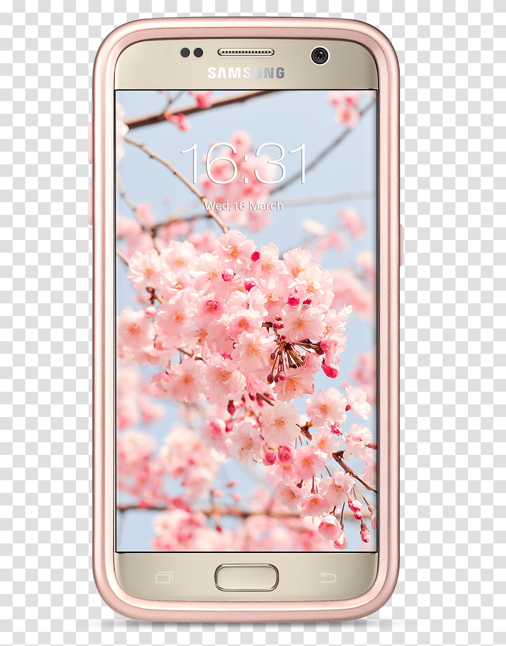 Smartphone, Mobile Phone, Electronics, Cell Phone, Plant Transparent Png