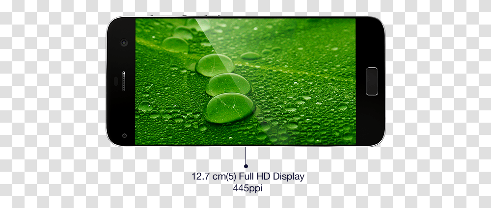 Smartphone, Plant, Green, Leaf, Algae Transparent Png