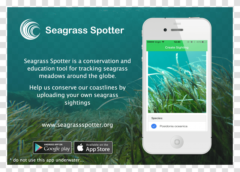 Smartphone Transparent Png