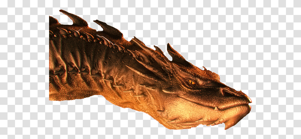 Smaug Hd Smaug Dragon, Lizard, Reptile, Animal Transparent Png