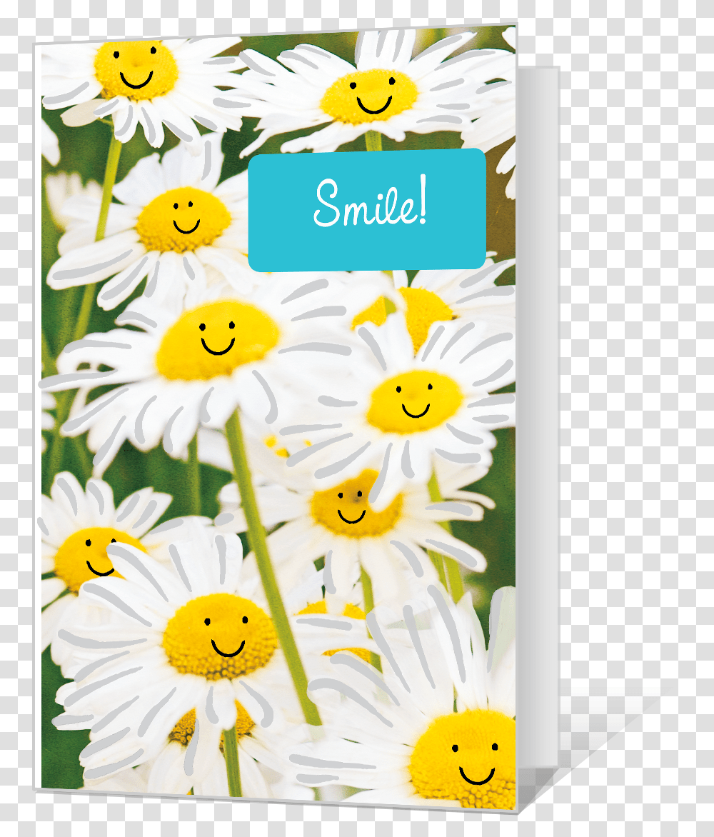 Smile Chamomile, Floral Design, Pattern Transparent Png