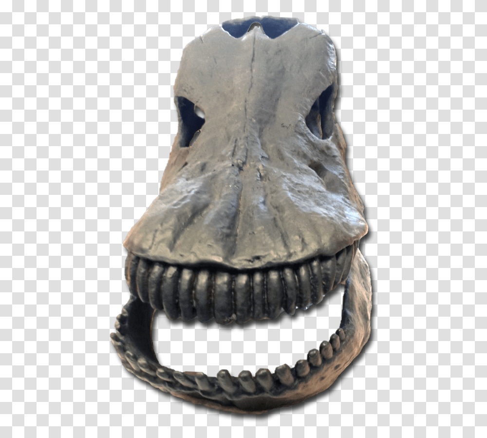 Smile, Soil, Archaeology, Dinosaur, Reptile Transparent Png