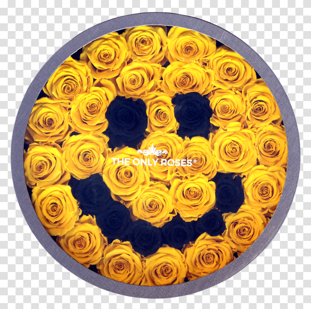Smiley Face Emoji Large Round Classic Grey Box American Museum Of Natural History, Pattern, Ornament, Floral Design, Graphics Transparent Png