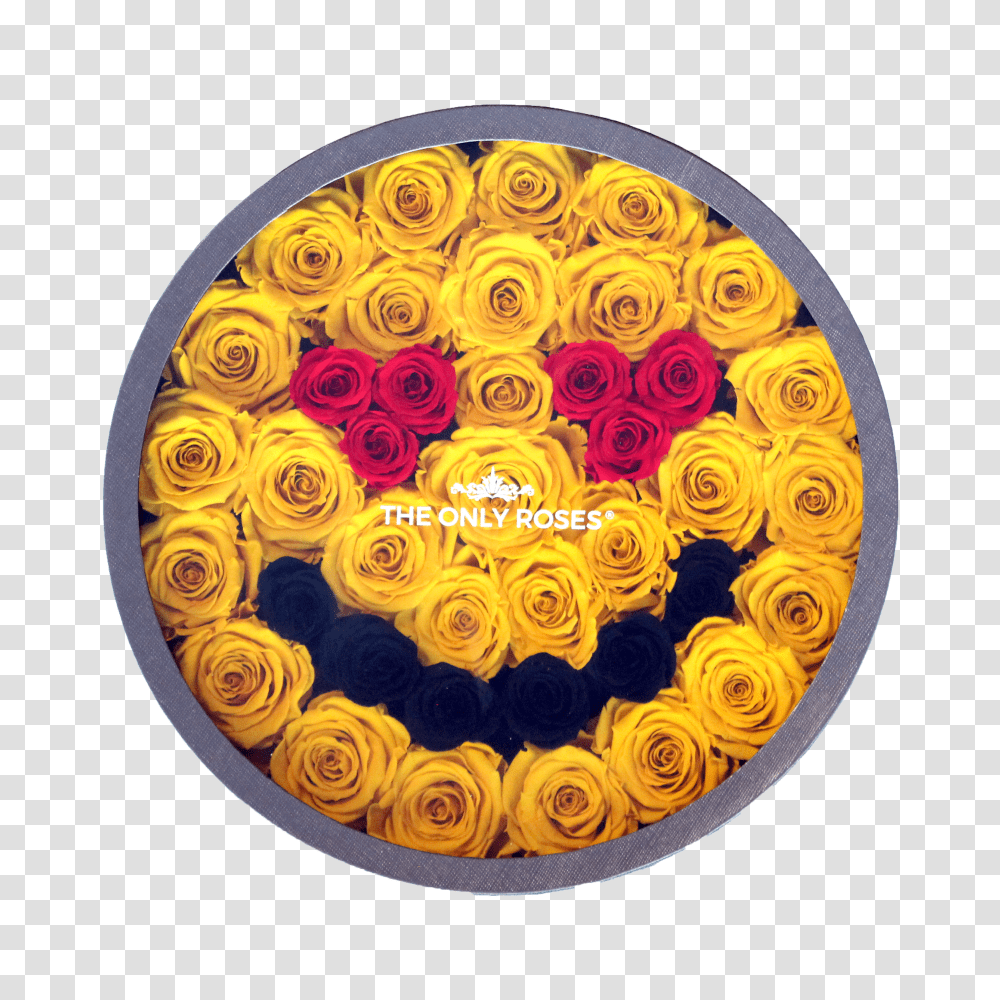 Smiley Face With Heart Eye Emoji American Museum Of Natural History Transparent Png