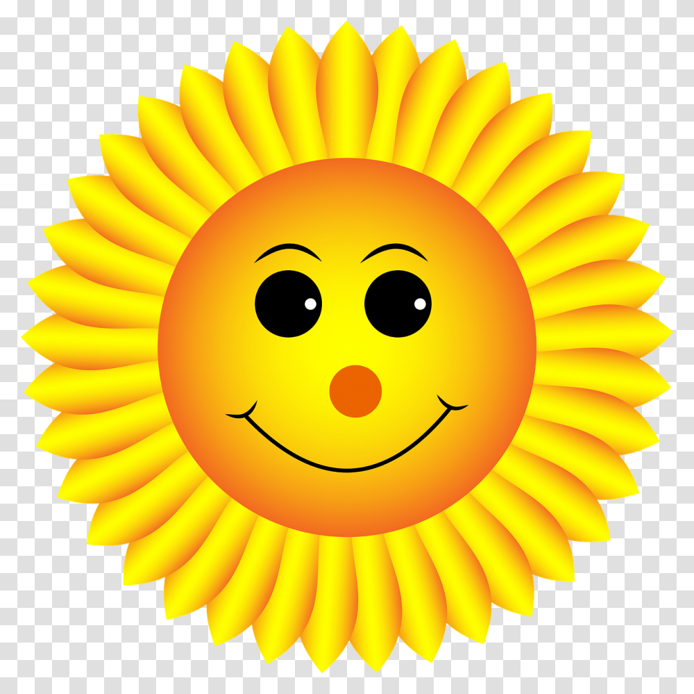 Smiley Sunflower, Nature, Outdoors, Sky, Banana Transparent Png