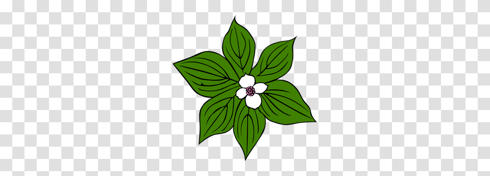 Smiling Flower Clip Art, Leaf, Plant, Floral Design, Pattern Transparent Png