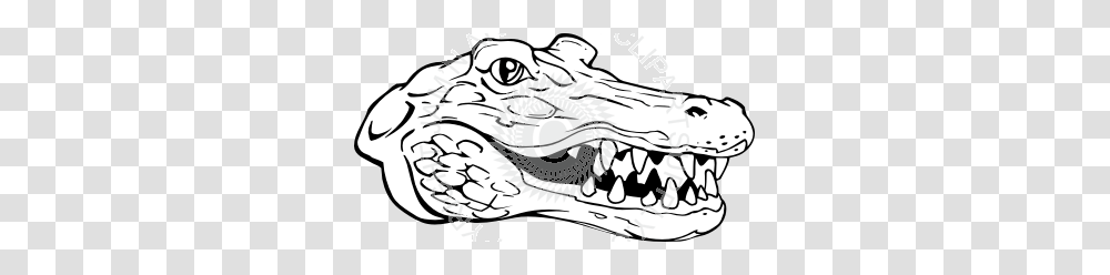 Smiling Gator Head, Crocodile, Reptile, Animal, Alligator Transparent Png