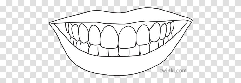 Smiling Mouth With Teeth Science Ks2 Black And White Rgb Line Art, Lip Transparent Png