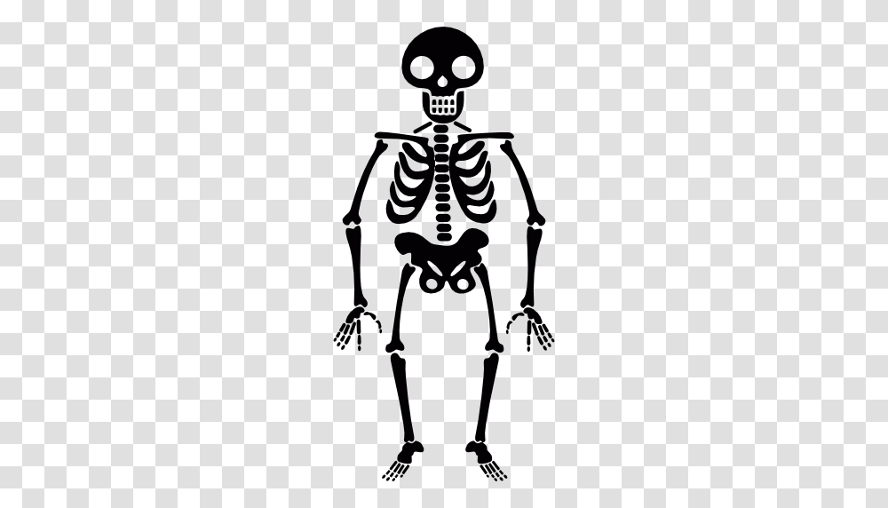 Smiling Skeleton, Bow Transparent Png