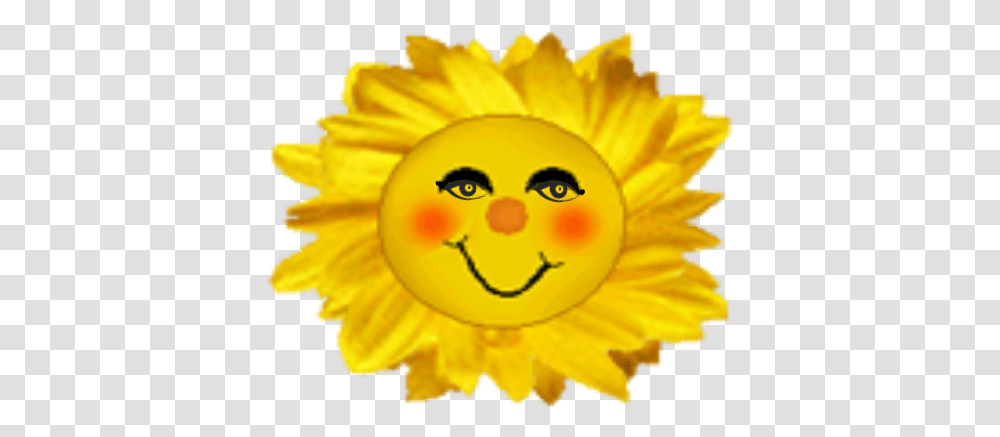 Smiling Sun Depression Tribe Sunflower, Plant, Petal, Anther, Daisy Transparent Png