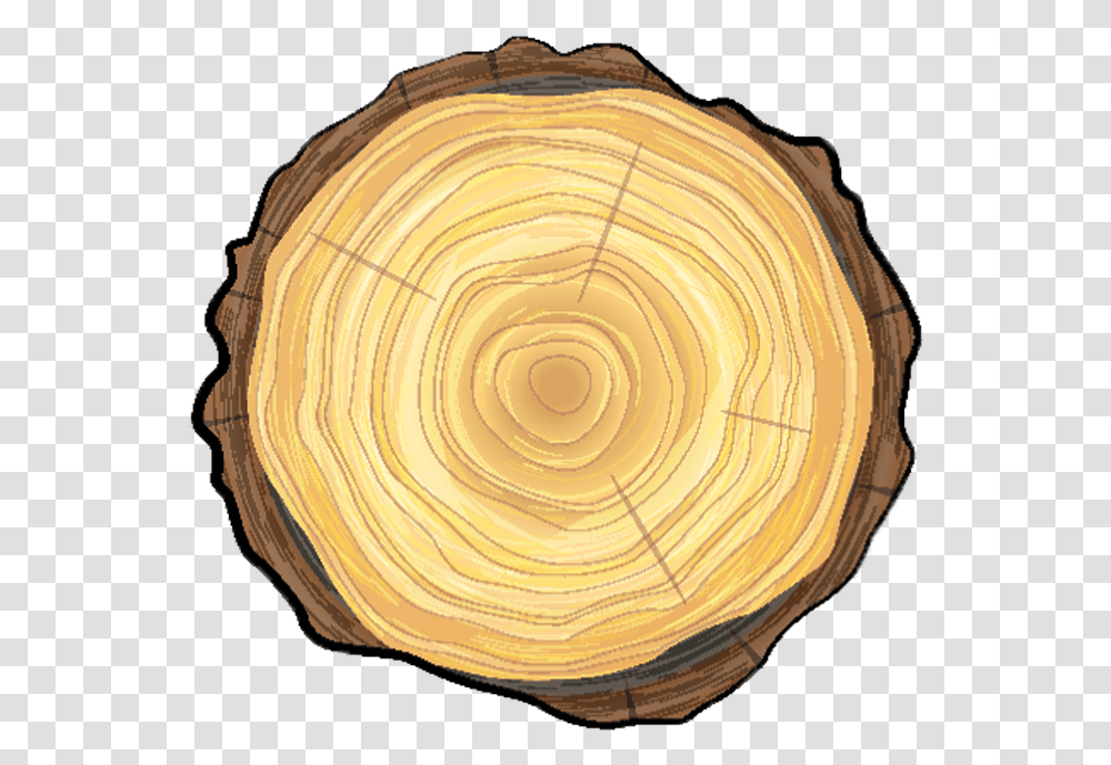 Smittys Tree Care Tree Trunk Top, Lamp, Wood, Clam, Seashell Transparent Png