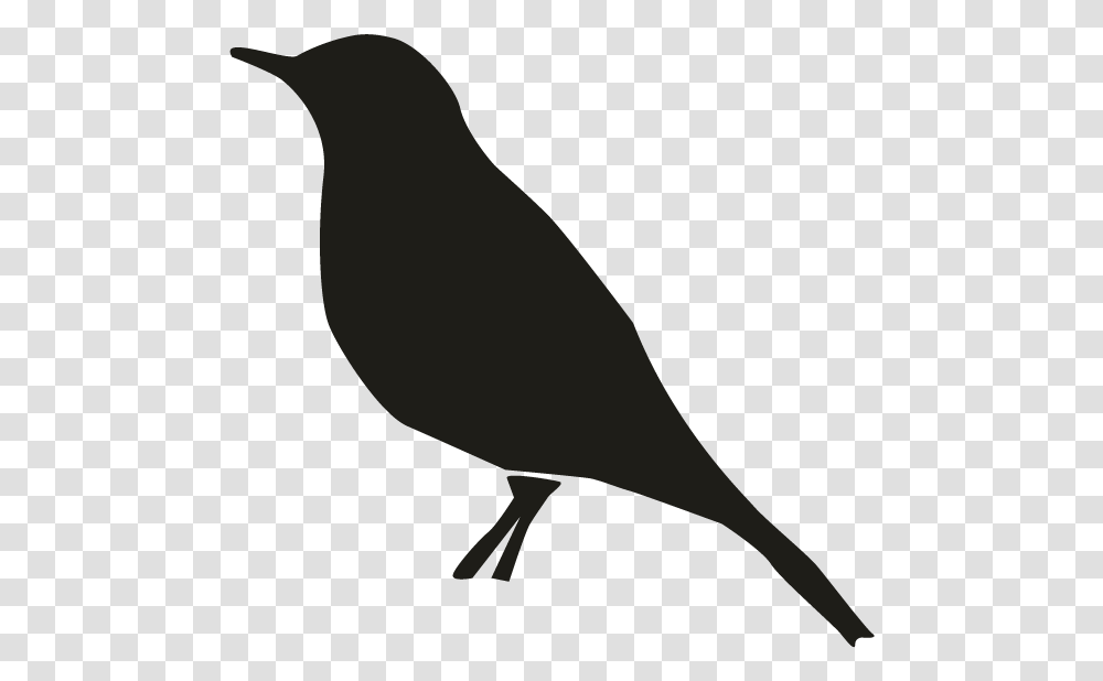 Smock Sparrow Motif Bird Perched Clipart, Silhouette, Beak, Animal, Blackbird Transparent Png