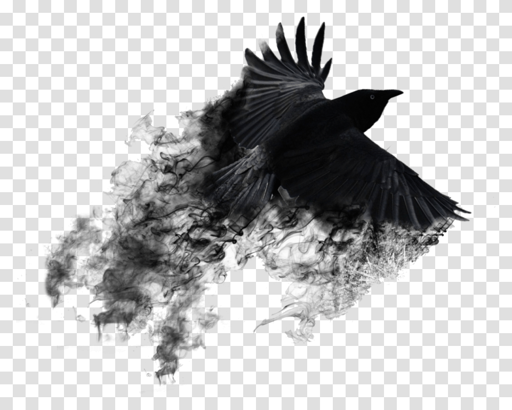 Smoke Bird Photo Editing Background Black Smoke Crow, Animal, Flying, Blackbird, Agelaius Transparent Png