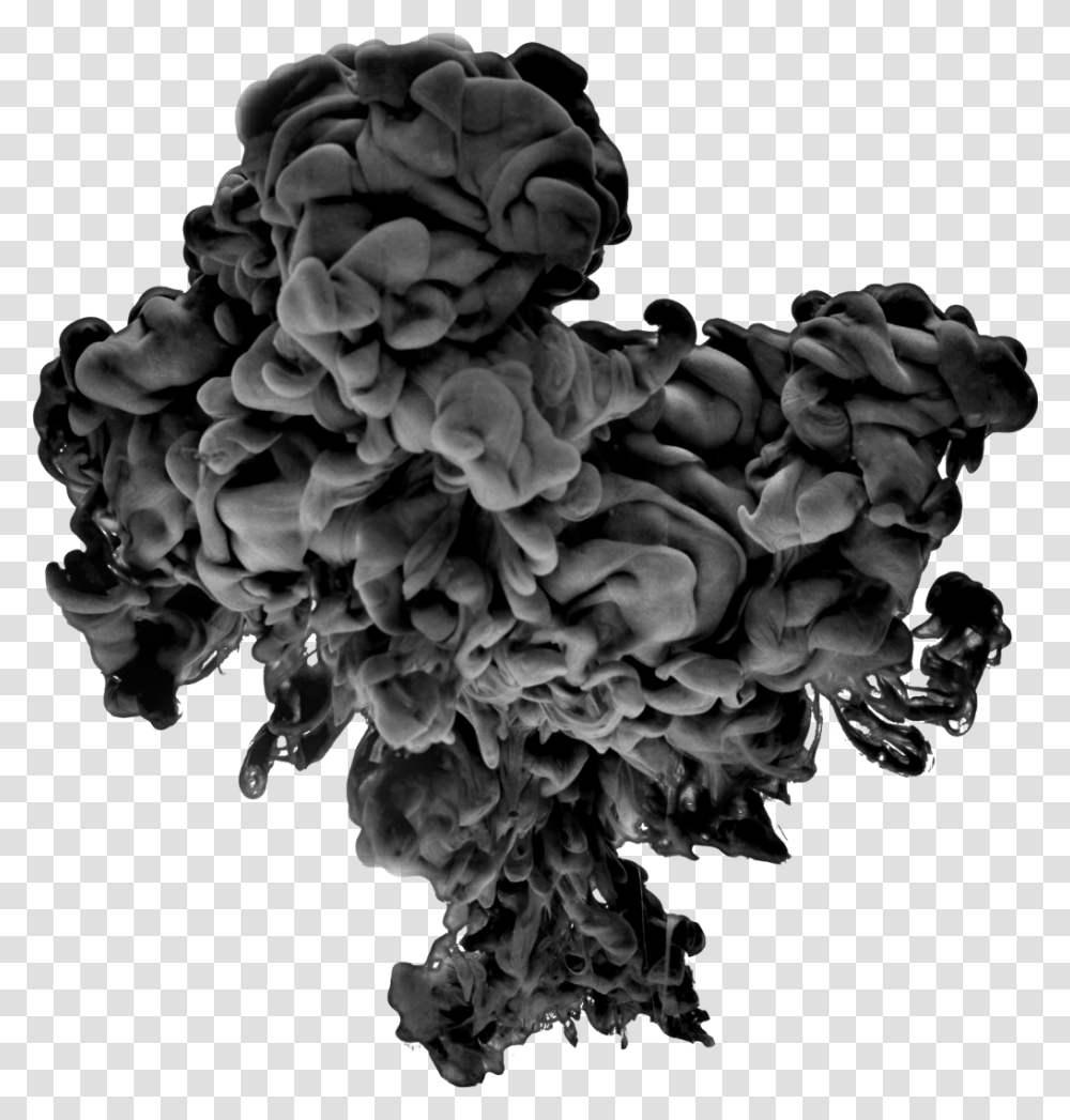 Smoke Black Grey Effects Effect Tree, Plant, Fungus, Mushroom, Rose Transparent Png