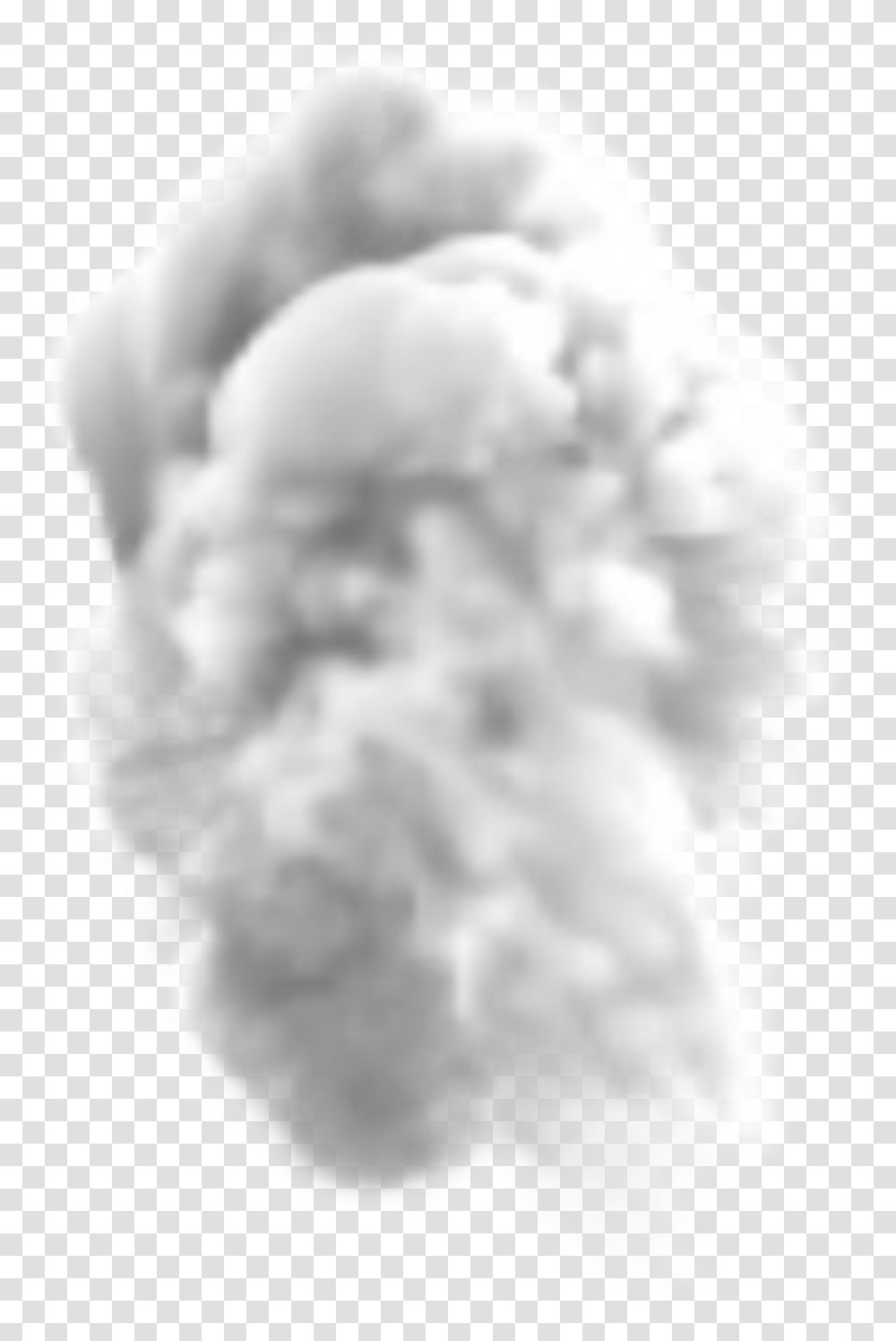 Smoke Clipart Picsart White Smoke Grenade, Plant, Carnation, Flower, Blossom Transparent Png