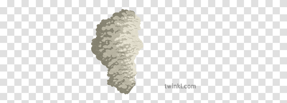 Smoke Cloud Illustration Twinkl, Plant, Bush, Vegetation, Food Transparent Png