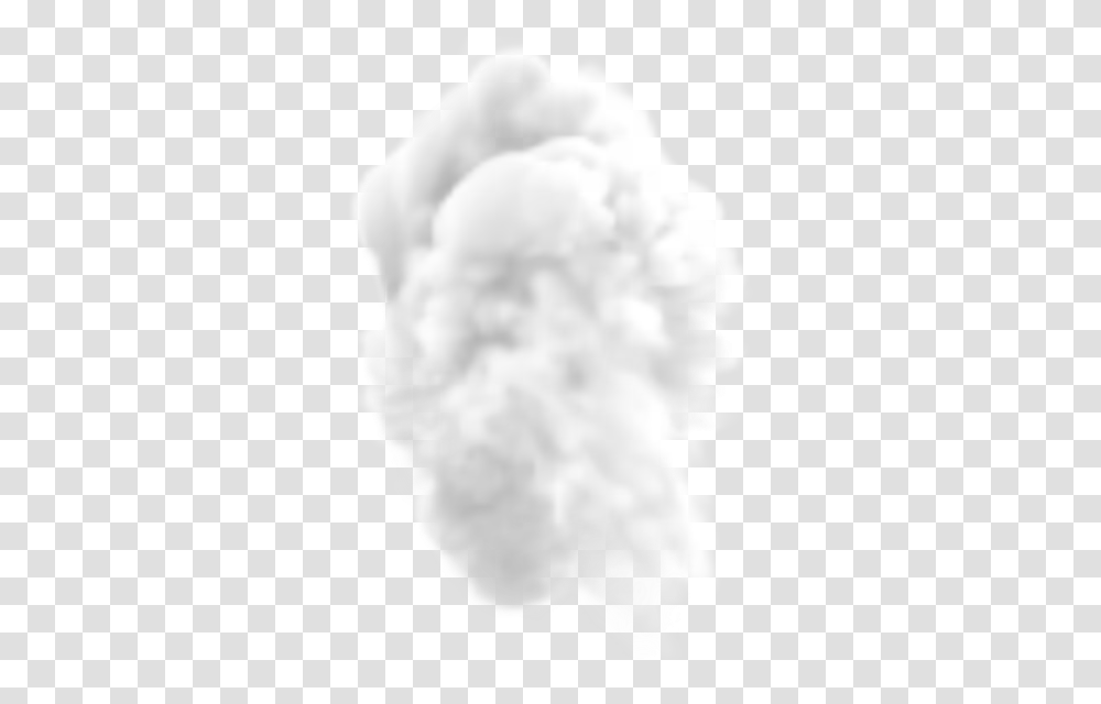 Smoke Image Free Download Picture Background Smoke, Plant, Pet, Animal, Canine Transparent Png