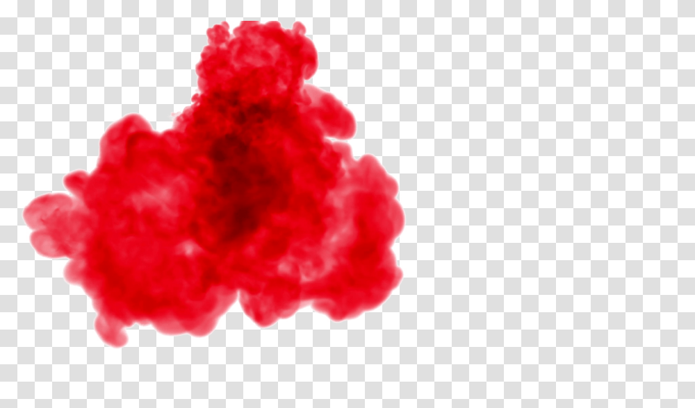 Smoke Images Free Download, Rose, Flower, Plant, Carnation Transparent Png