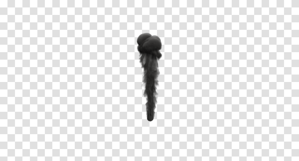 Smoke, Insect, Animal, Outdoors, Nature Transparent Png
