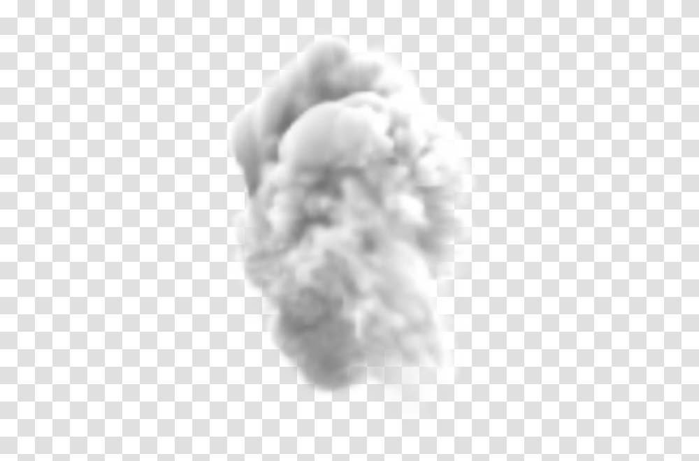 Smoke, Nature, Plant, Carnation, Flower Transparent Png