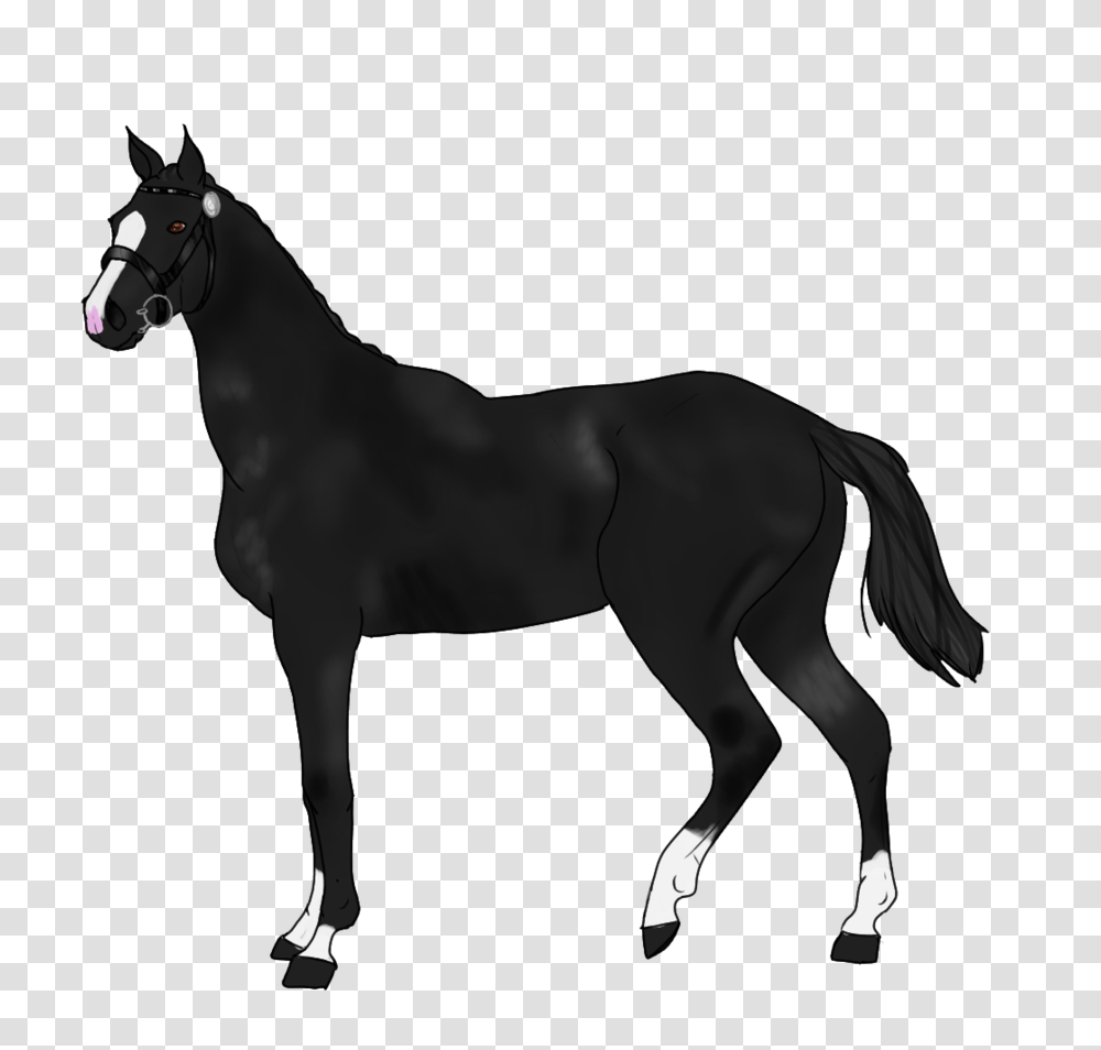 Smoke Of The Gun, Horse, Mammal, Animal, Foal Transparent Png