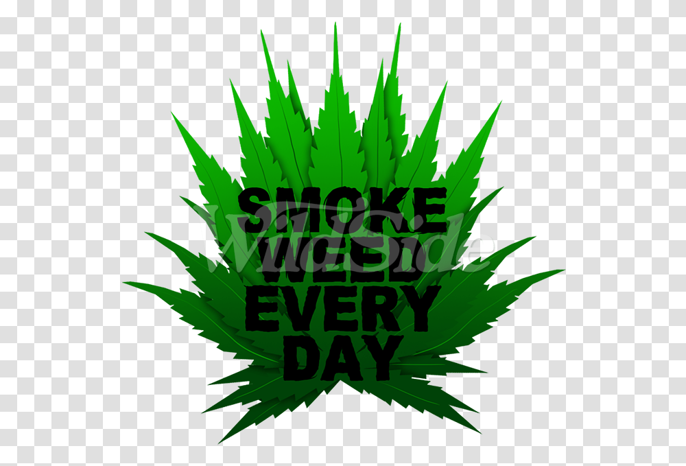 Smoke Weed Every Day Marijuana Lovers Pot Leaf 420 Illustration, Plant, Hemp, Flower, Blossom Transparent Png