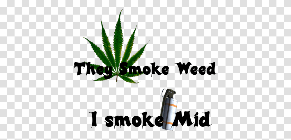 Smoke Weed Mid Counter Strike Sprays, Plant, Hemp Transparent Png