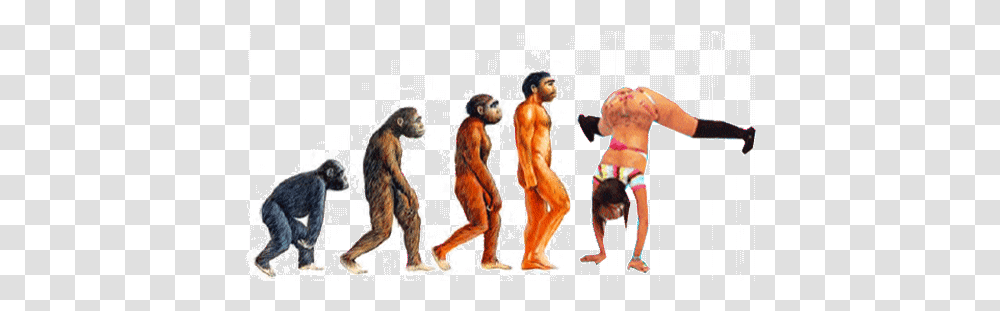 Smoke Weed Twerking Sticker Bored Drugs Funny Edit Meow Gif Evolution Of Man Gif, Person, Standing, Poster, Advertisement Transparent Png