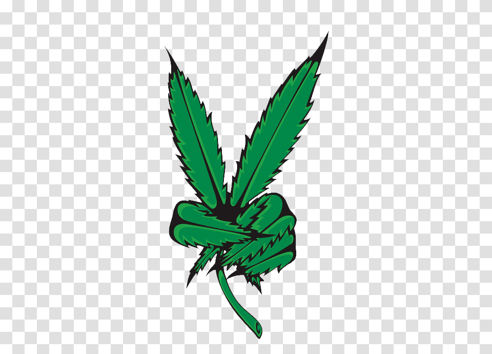 Smoke Weed Weed, Plant, Leaf, Tree, Green Transparent Png