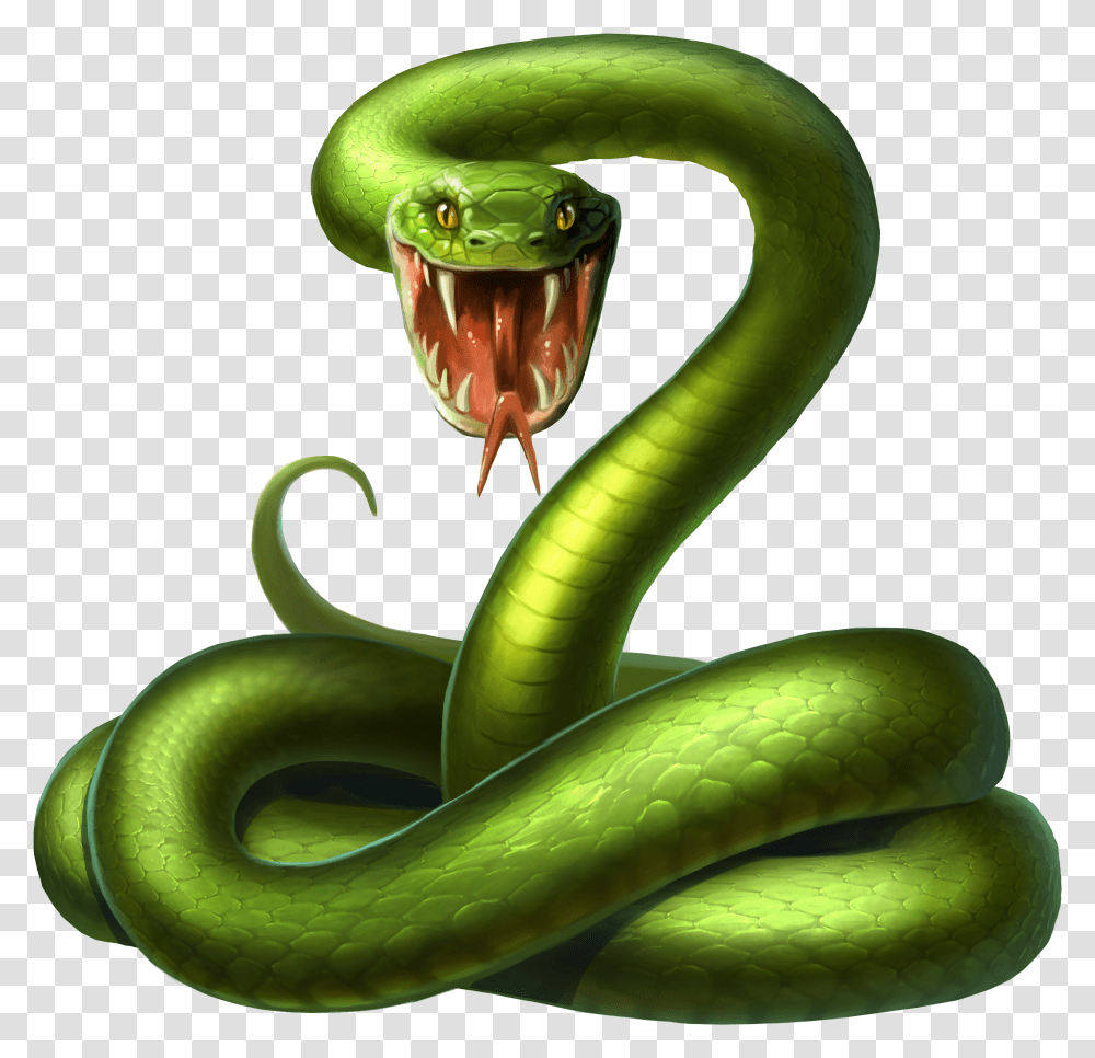 Smooth Green Snake Clipart Pear Green Snake Transparent Png