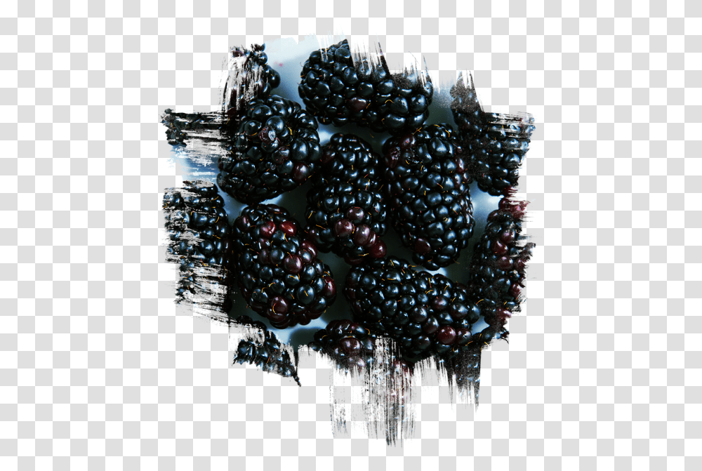 Smoothies Download Seedless Fruit, Plant, Food, Blueberry, Grapes Transparent Png