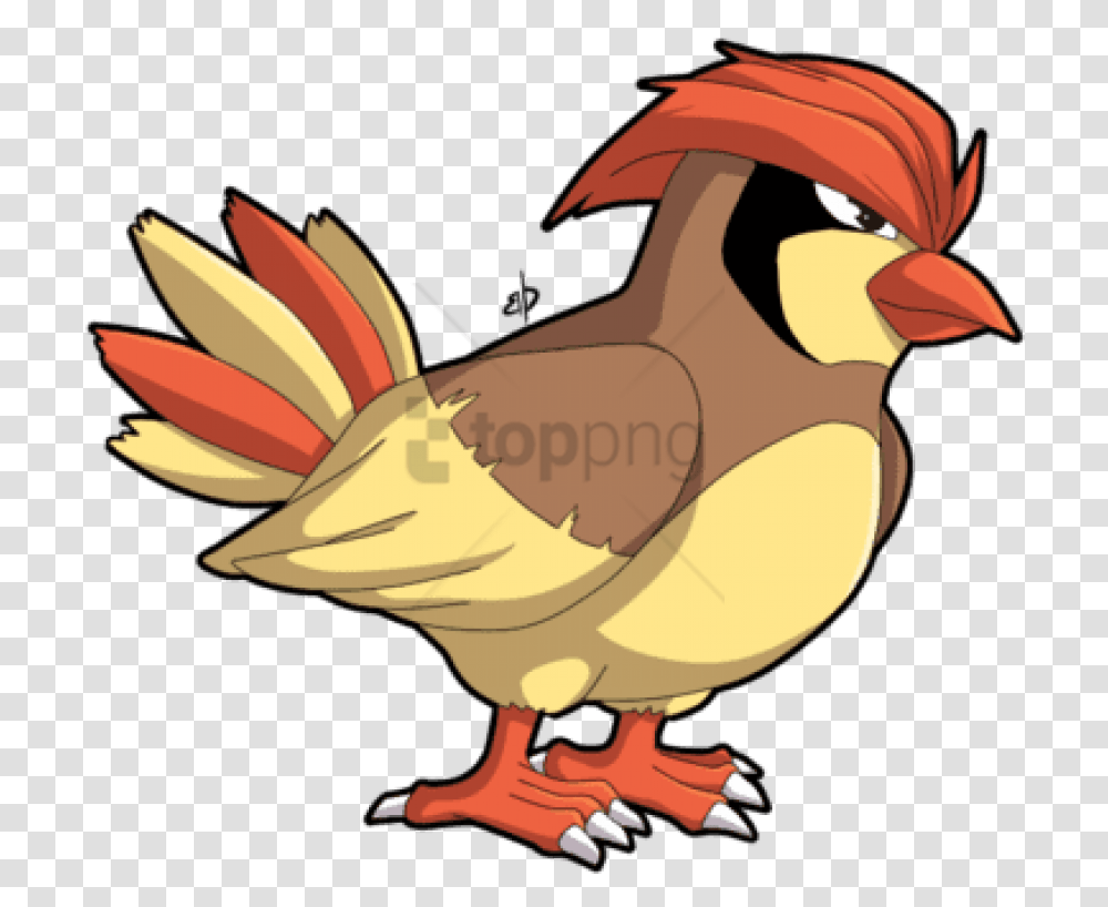 Smosh Pokemon Pidgey Pokemon Bird With Hair, Animal, Helmet, Apparel Transparent Png