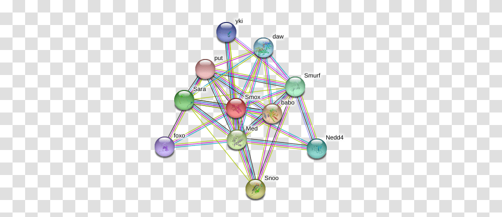 Smox Protein Circle, Network, Sphere, Outer Space, Astronomy Transparent Png