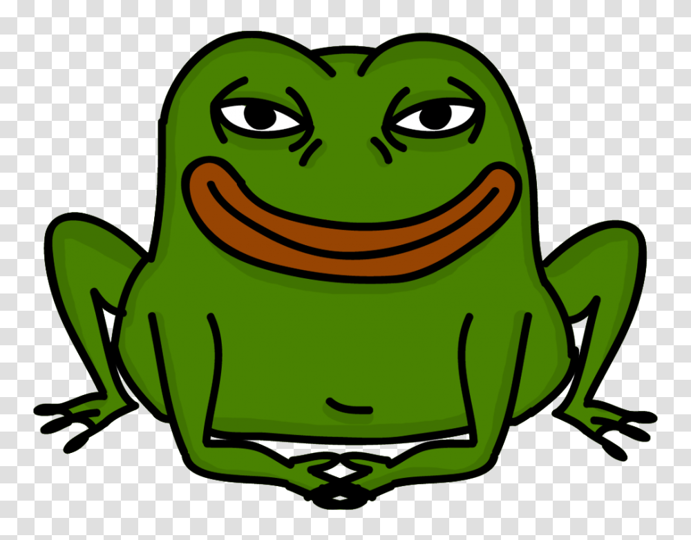 Smug Frog Smug Frog Know Your Meme, Green, Amphibian, Wildlife, Animal Transparent Png