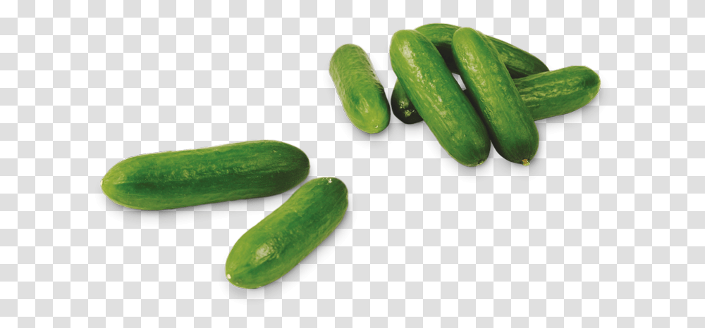 Snack Cucumbers Mini Komkommers, Plant, Vegetable, Food, Relish Transparent Png