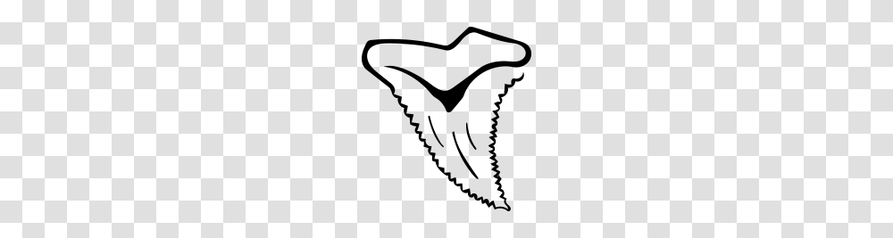 Snaggletooth Shark Tooth, Gray, World Of Warcraft Transparent Png