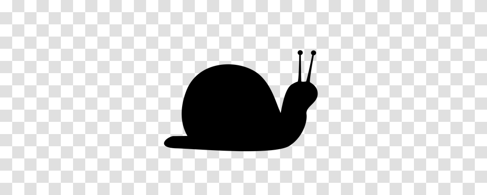 Snail Nature, Gray, World Of Warcraft Transparent Png