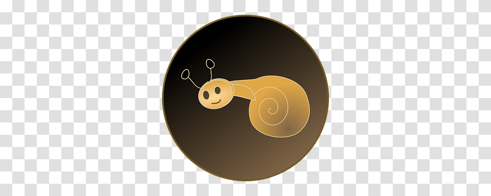 Snail Animals, Invertebrate, Bronze, Disk Transparent Png