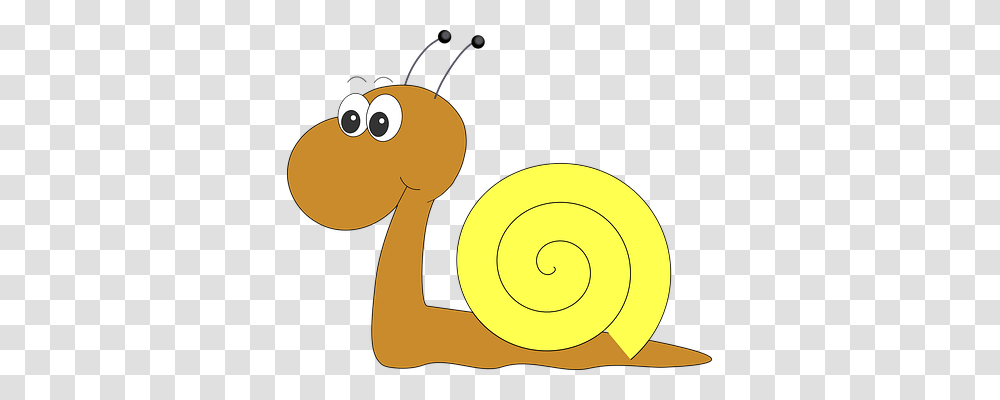 Snail Emotion, Invertebrate, Animal Transparent Png