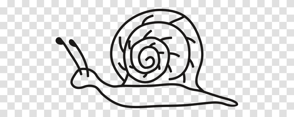 Snail Nature, Apparel, Spiral Transparent Png