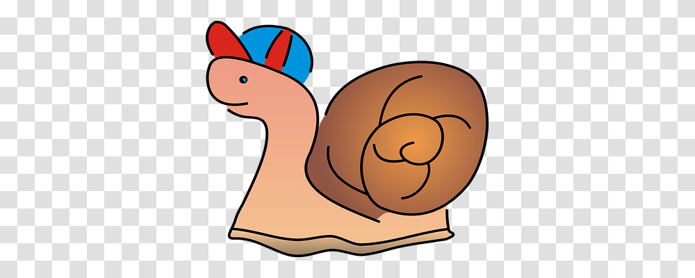 Snail Sport, Animal, Bird, Invertebrate Transparent Png