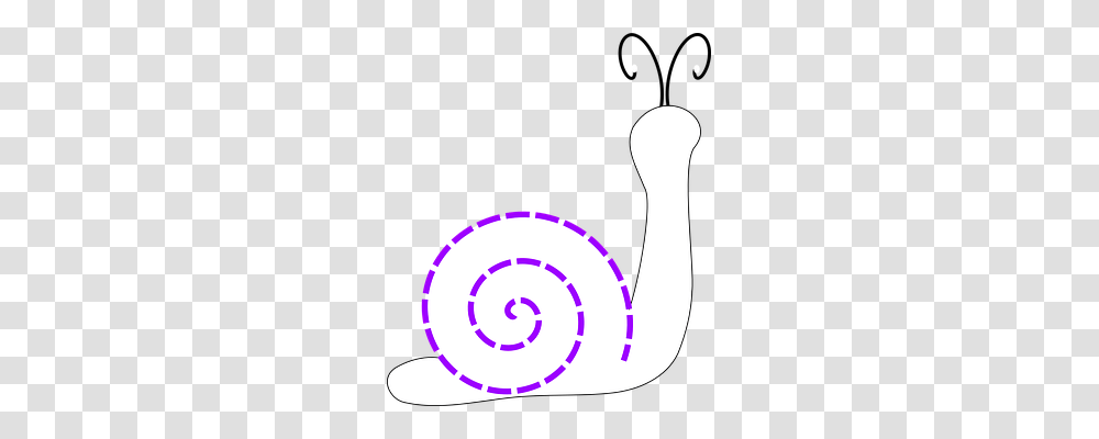 Snail Nature, Animal, Spiral Transparent Png